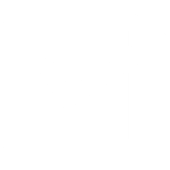 Check Mark