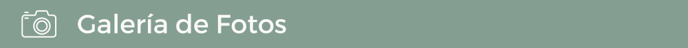Photo Gallery Button